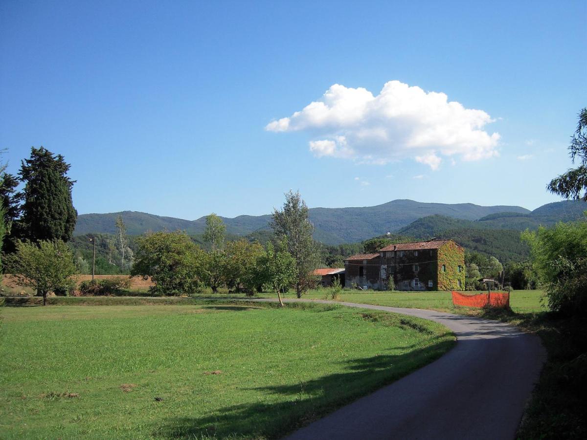 Al Cascinale Villa Lucca Bagian luar foto