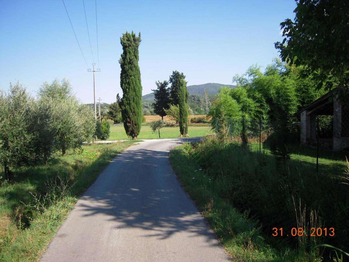 Al Cascinale Villa Lucca Bagian luar foto