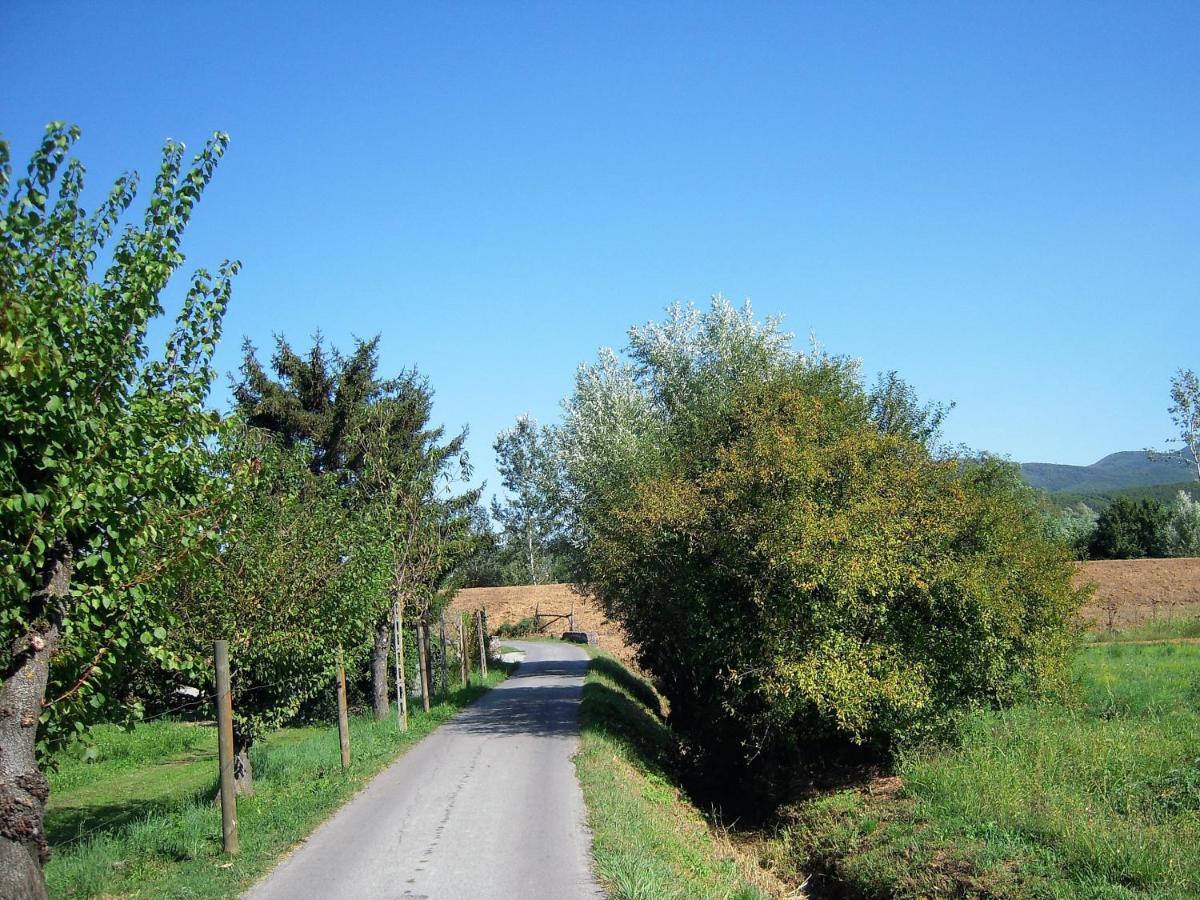 Al Cascinale Villa Lucca Bagian luar foto