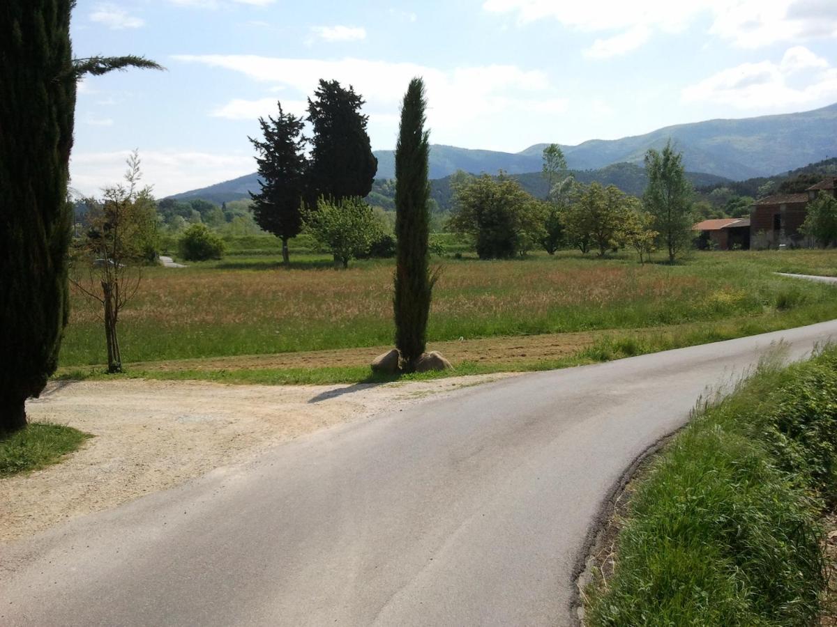 Al Cascinale Villa Lucca Bagian luar foto