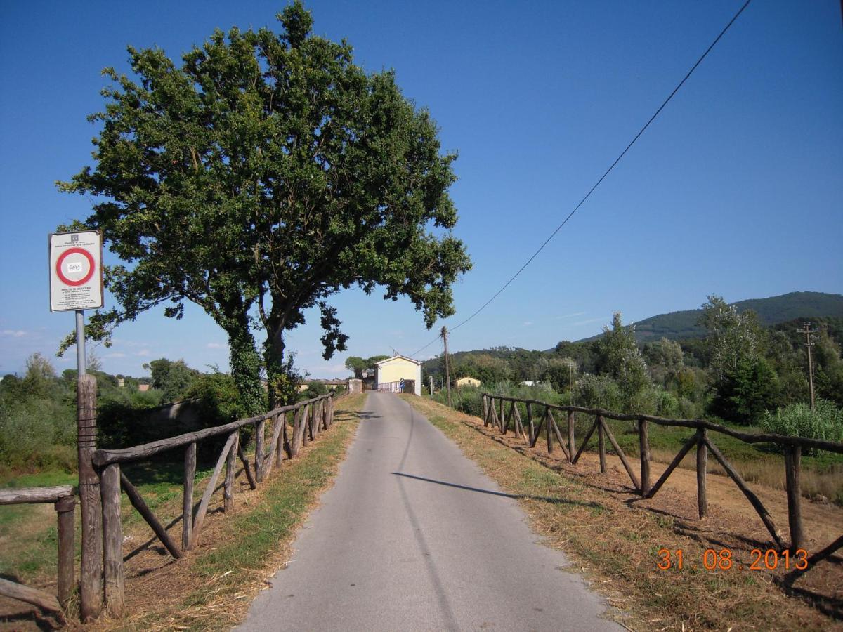 Al Cascinale Villa Lucca Bagian luar foto